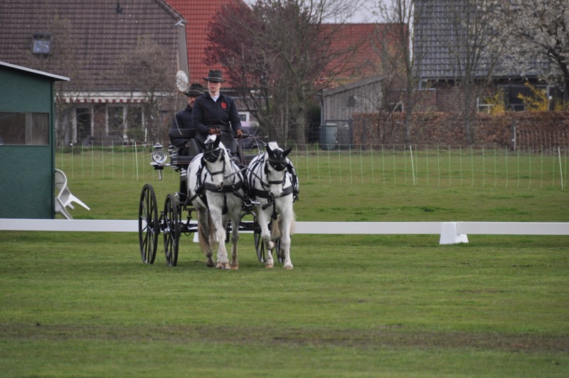 Bilder 2019
